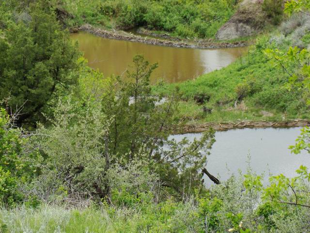 triple decker beaver dam...