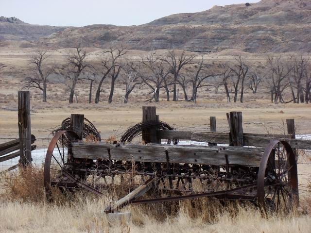 by the yellowstone...