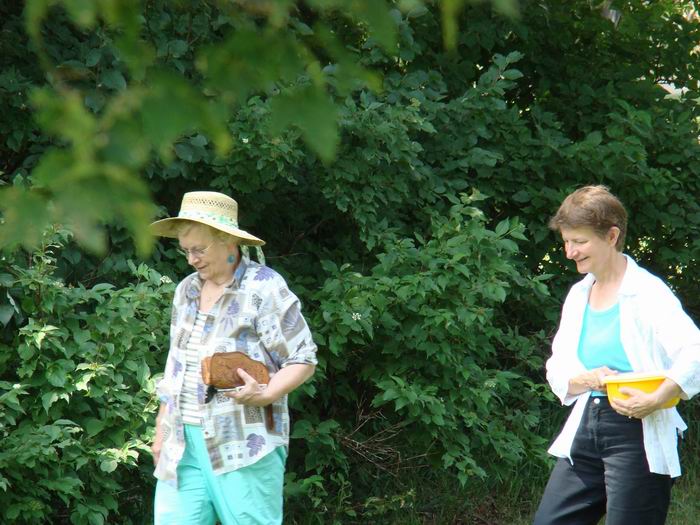 mom and lilia coming to the picnic....