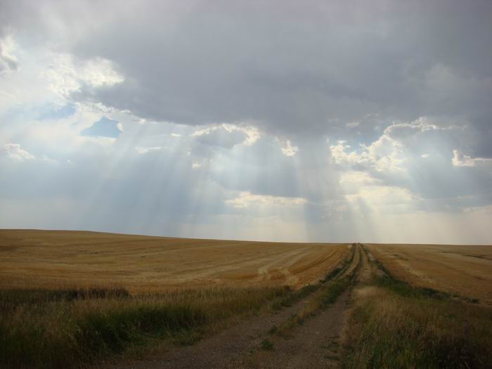 harvest is almost over.....