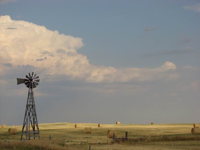 this photo won a blue ribbon at the county fair in the landscape catagory.....