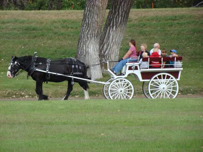 buggy rides, too.....