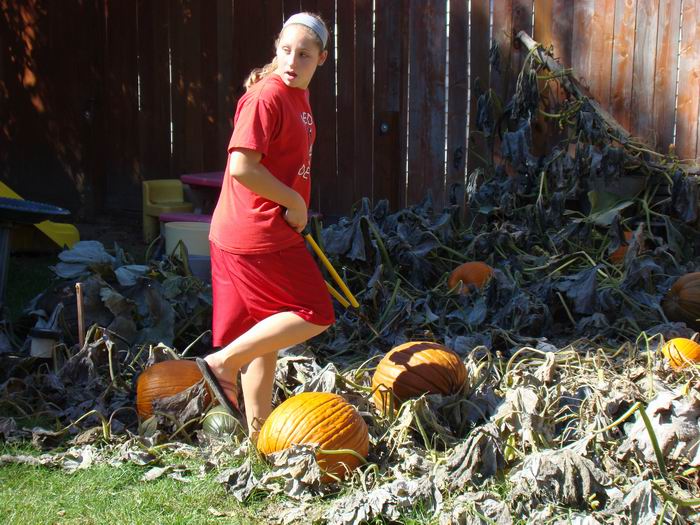 meg cutt'n pumpkins....