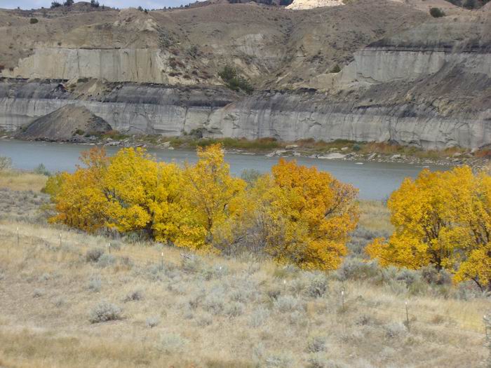 theYellowstone River....