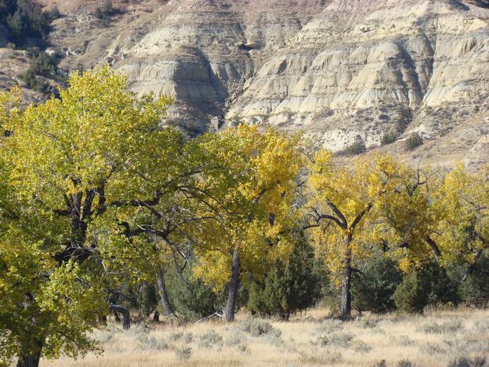 driving thru medora.....