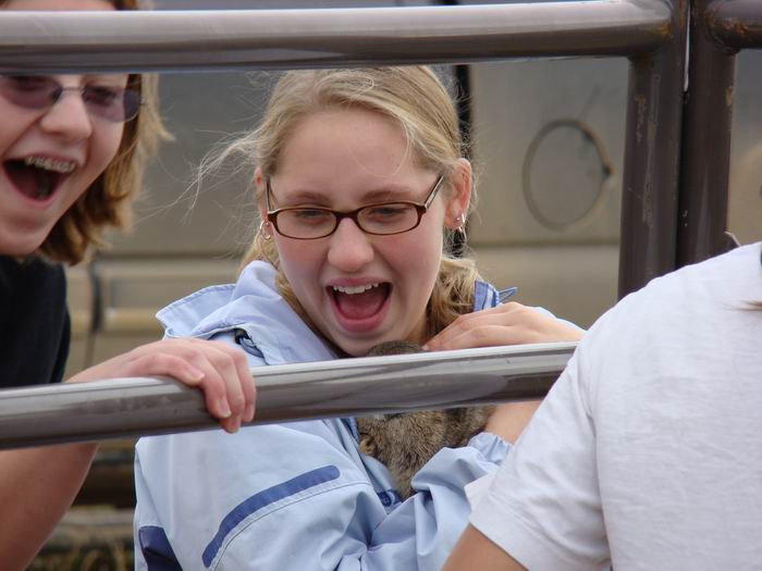 she's holding a bunny....