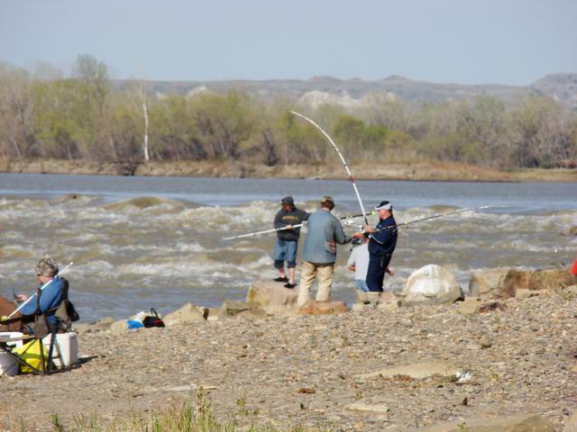 paddle fishing is going strong...