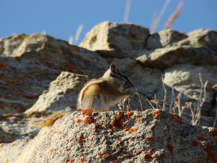 storing up for winter...