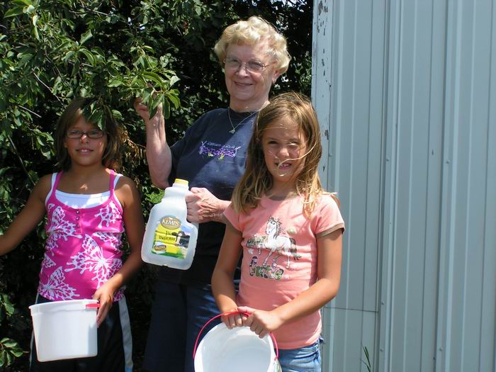 last summer, pick' n choke cherries with gramma.....